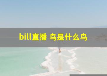 bill直播 鸟是什么鸟